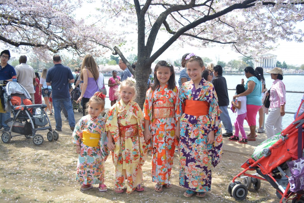 เทศกาลดอกซากุระบาน ที่วอชิงตัน ดีซี- GoGoAmerica.com