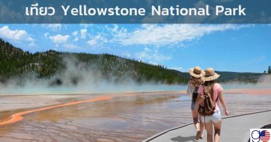 เที่ยว yellowstone national park